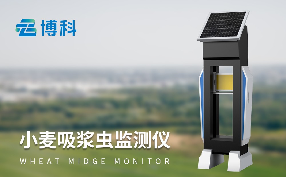 小麦吸浆虫监测仪