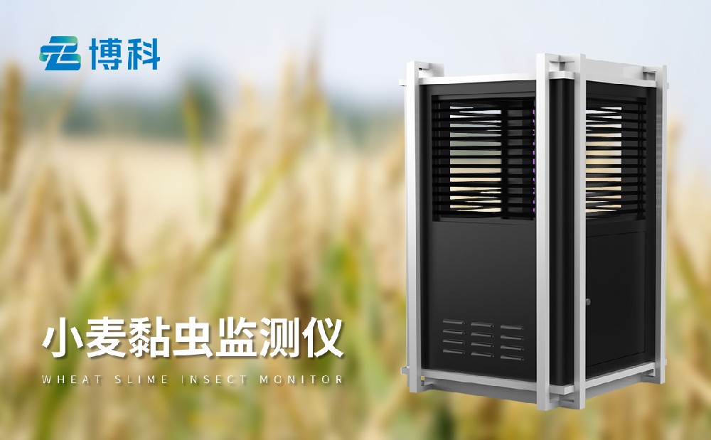 小麦黏虫监测仪