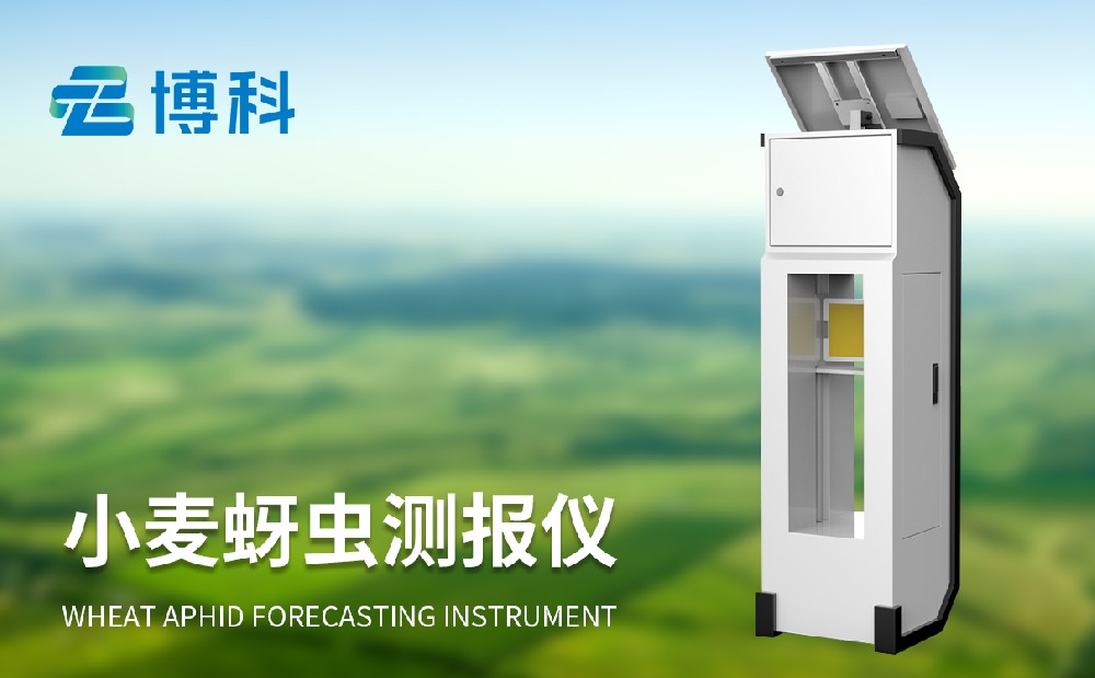 小麦蚜虫测报仪