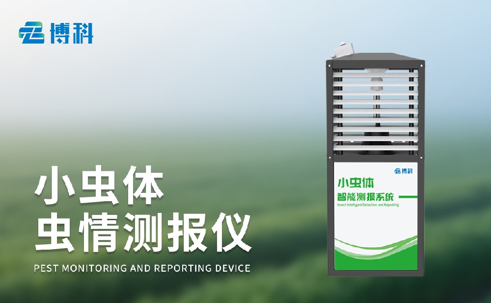 小虫体自动测报系统