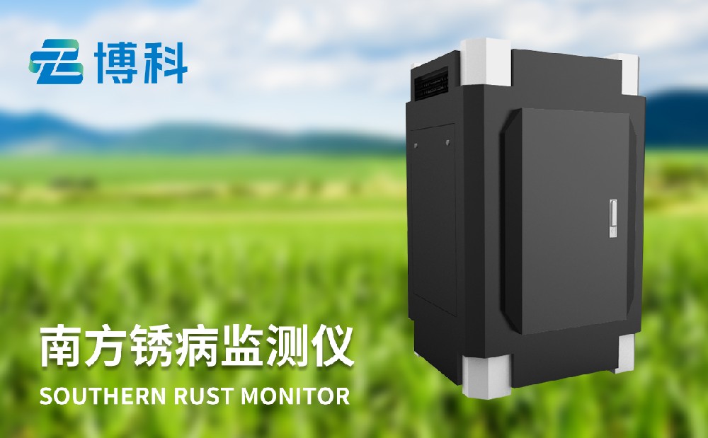 玉米南方锈病
