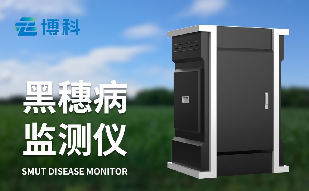 玉米黑穗病监测仪